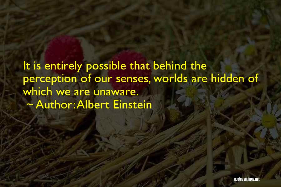 Hidden Worlds Quotes By Albert Einstein