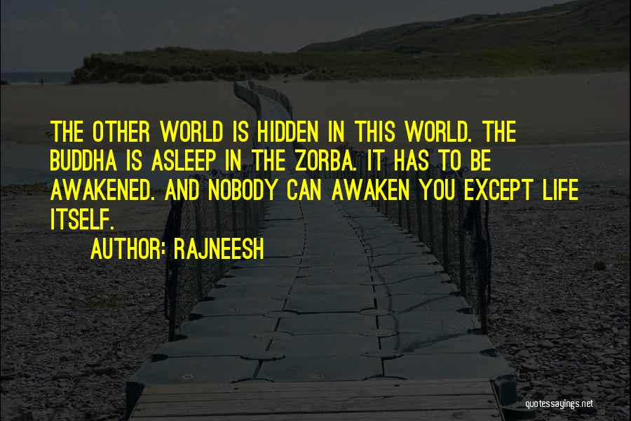 Hidden Worlds Quotes By Rajneesh