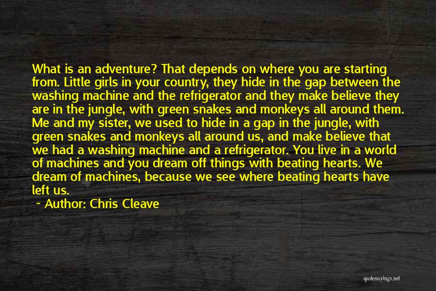 Hide From The World Quotes By Chris Cleave