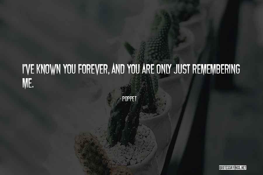 Hide Online Quotes By Poppet Hide Online Quotes By Poppet