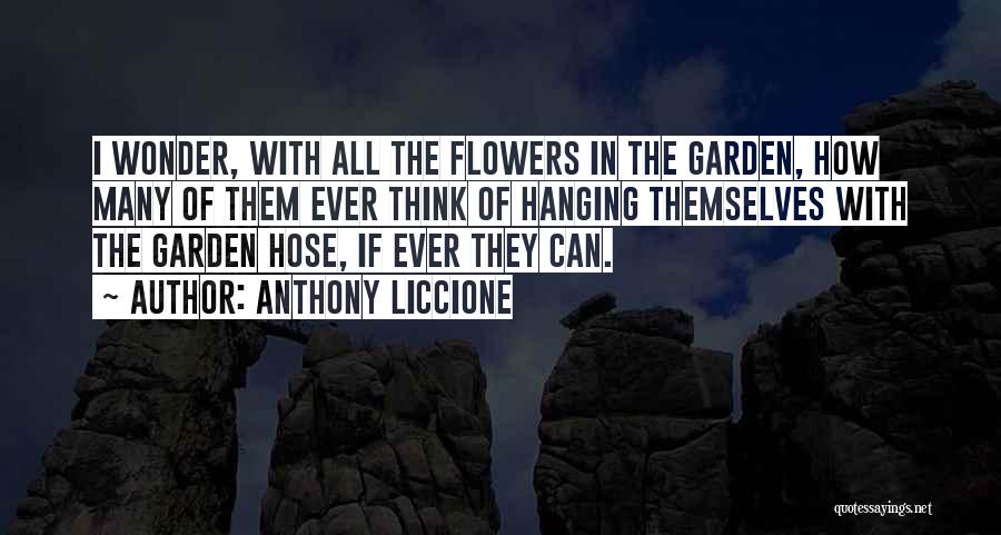 Hide Sadness Quotes By Anthony Liccione