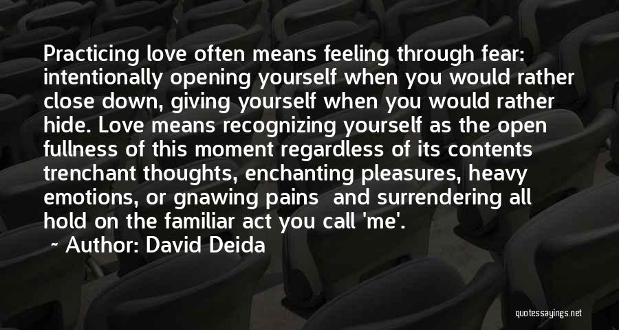 Hide The Pain Quotes By David Deida