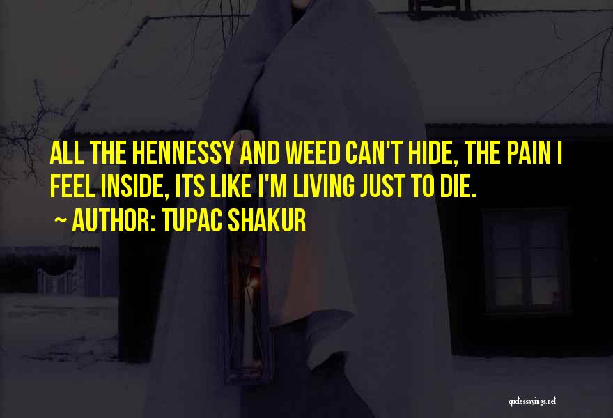 Hide The Pain Quotes By Tupac Shakur