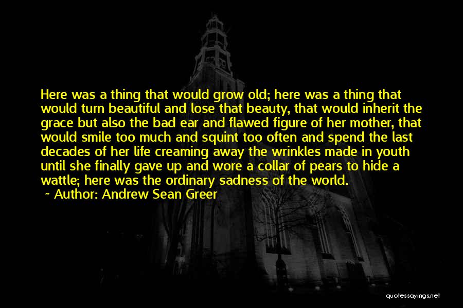 Hide The Sadness Quotes By Andrew Sean Greer