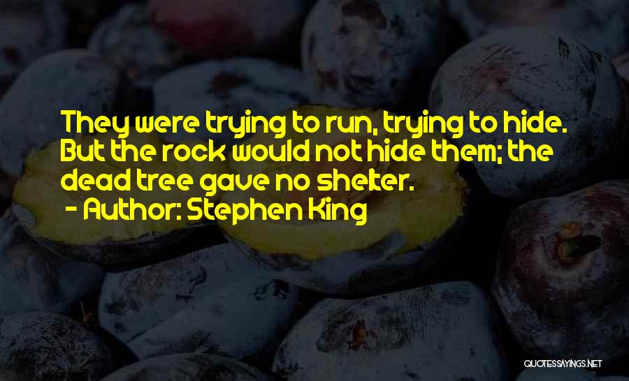 Hide Under A Rock Quotes By Stephen King