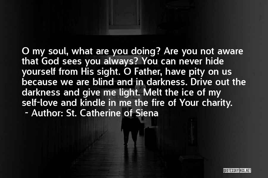 Hide Your Love Quotes By St. Catherine Of Siena
