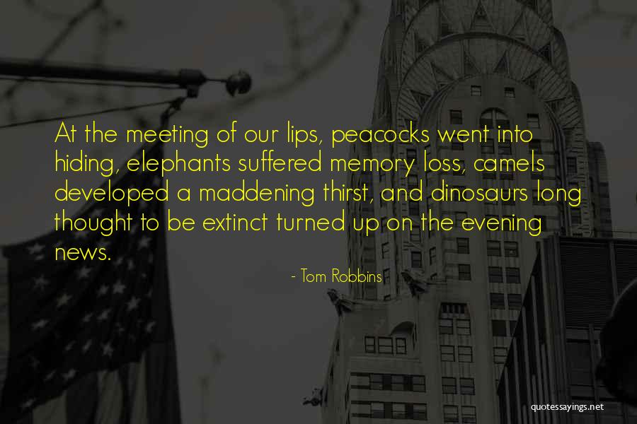 Hidegkuti Piac Quotes By Tom Robbins Hidegkuti Piac Quotes By Tom Robbins