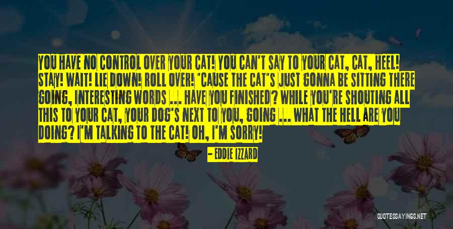 Hidejiro Honjo Quotes By Eddie Izzard Hidejiro Honjo Quotes By Eddie Izzard