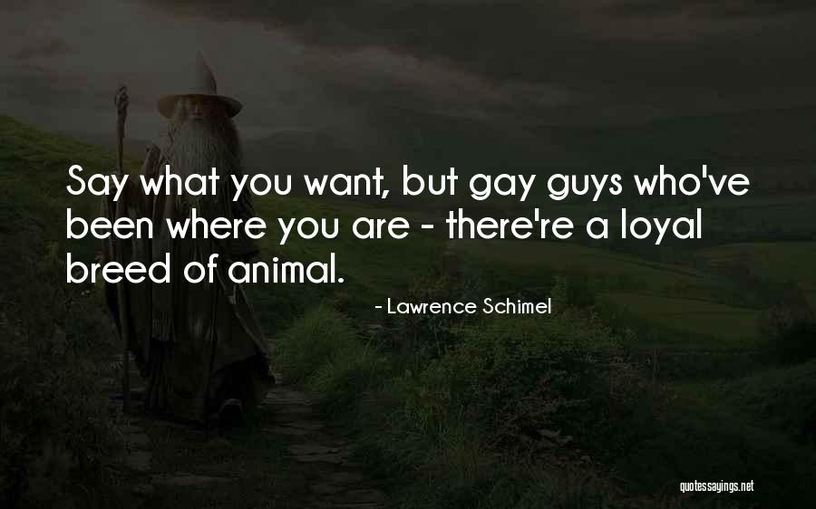 Hidemasa Morita Quotes By Lawrence Schimel Hidemasa Morita Quotes By Lawrence Schimel