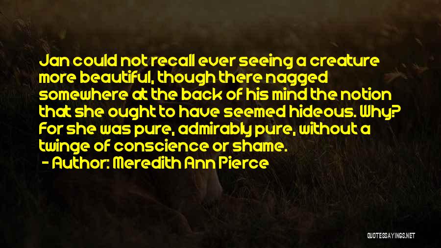 Hideous Quotes By Meredith Ann Pierce