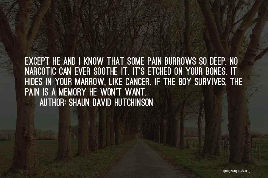 Hides Pain Quotes By Shaun David Hutchinson