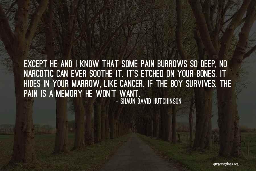 Hides Pain Quotes By Shaun David Hutchinson