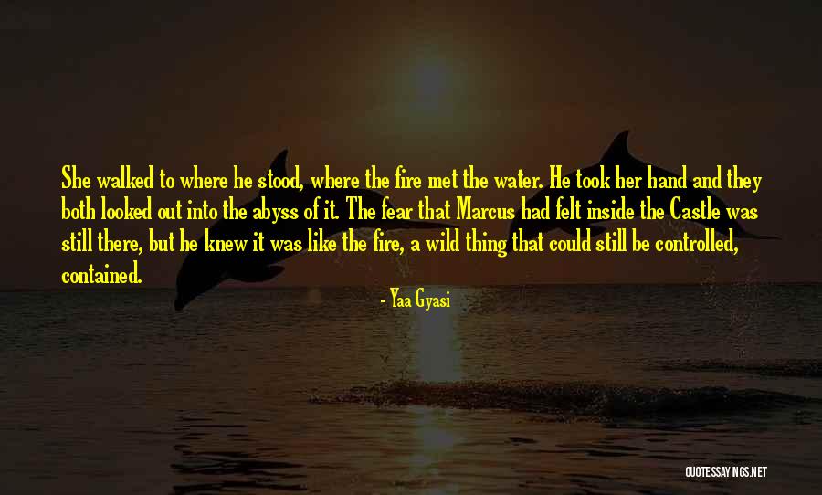 Hidetoshi Hasegawa Quotes By Yaa Gyasi Hidetoshi Hasegawa Quotes By Yaa Gyasi
