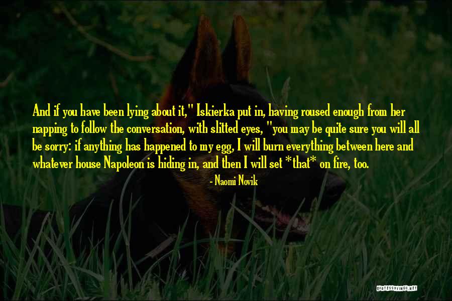 Hiding Eyes Quotes By Naomi Novik Hiding Eyes Quotes By Naomi Novik