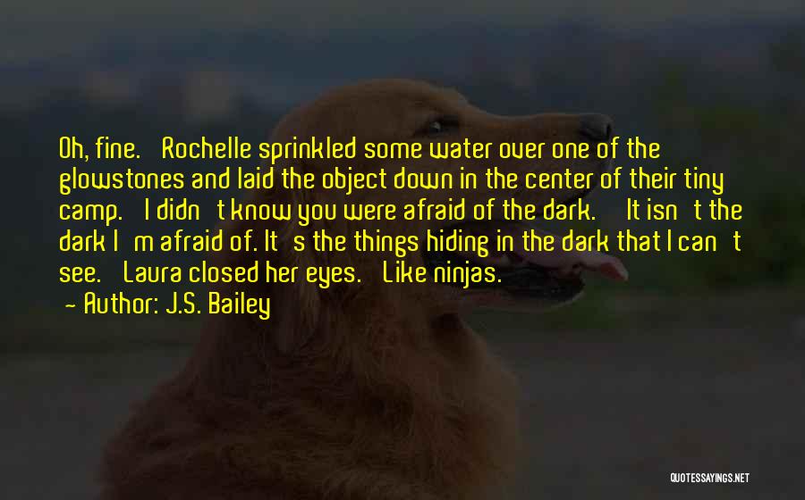 Hiding From Your Fears Quotes By J.S. Bailey