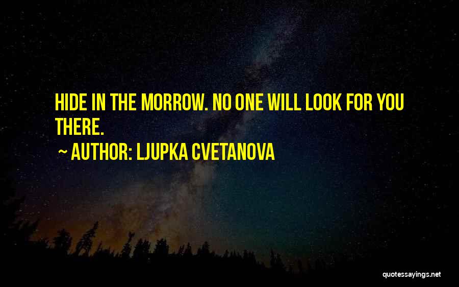 Hiding Identity Quotes By Ljupka Cvetanova
