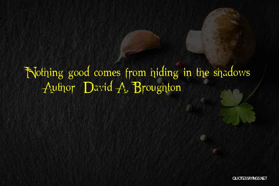 Hiding In The Shadows Quotes By David A. Broughton
