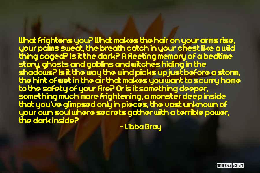 Hiding In The Shadows Quotes By Libba Bray