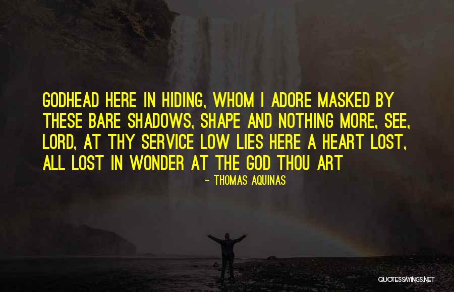 Hiding In The Shadows Quotes By Thomas Aquinas Hiding In The Shadows Quotes By Thomas Aquinas