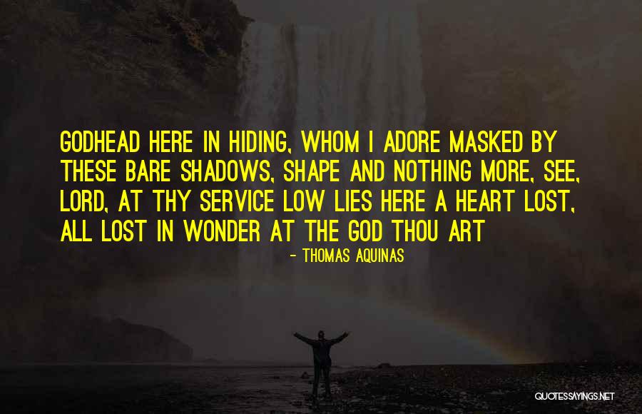 Hiding In The Shadows Quotes By Thomas Aquinas