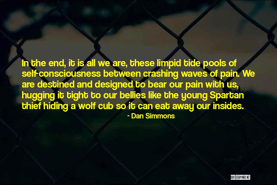 Hiding Pain Quotes By Dan Simmons Hiding Pain Quotes By Dan Simmons