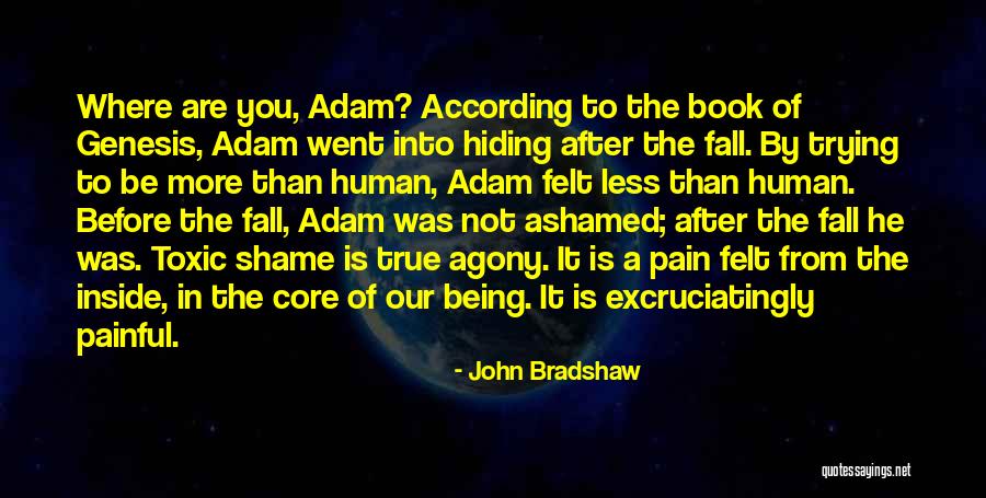 Hiding Pain Quotes By John Bradshaw Hiding Pain Quotes By John Bradshaw