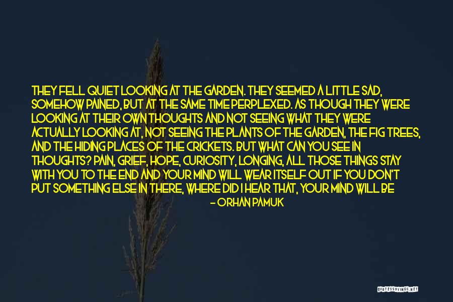 Hiding Pain Quotes By Orhan Pamuk Hiding Pain Quotes By Orhan Pamuk