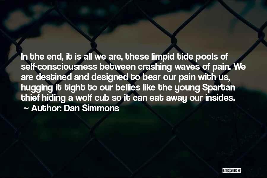 Hiding Your Pain Quotes By Dan Simmons