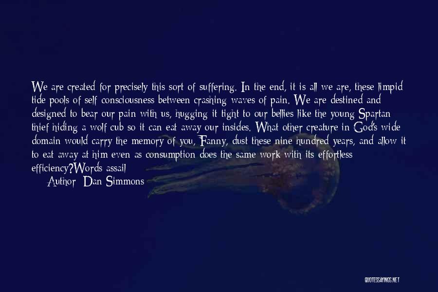 Hiding Your Pain Quotes By Dan Simmons