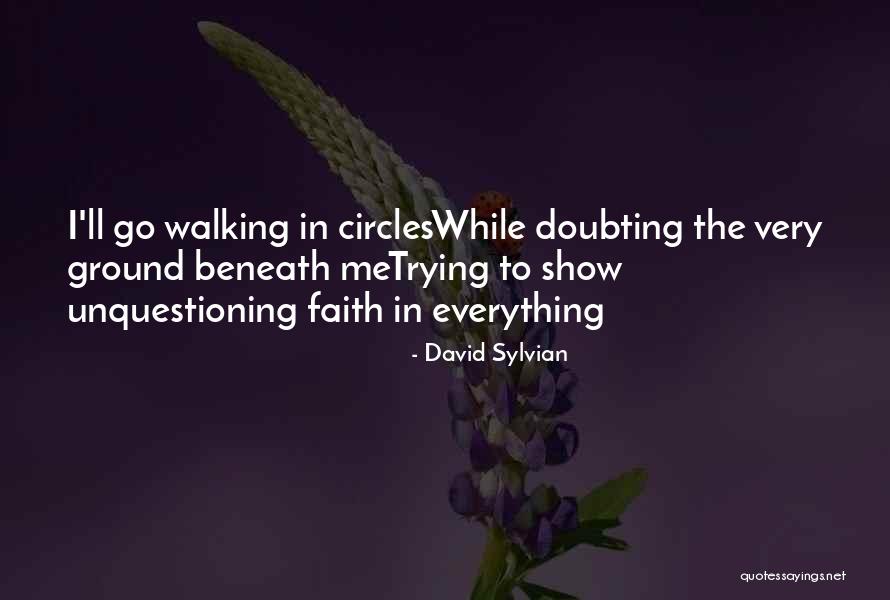 Hidrogenul In Organism Quotes By David Sylvian Hidrogenul In Organism Quotes By David Sylvian