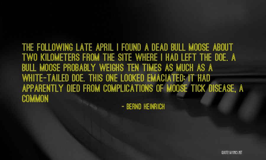 Hieftje Quotes By Bernd Heinrich Hieftje Quotes By Bernd Heinrich
