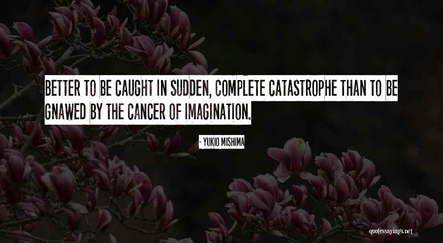 Hiemstra Lawn Quotes By Yukio Mishima Hiemstra Lawn Quotes By Yukio Mishima