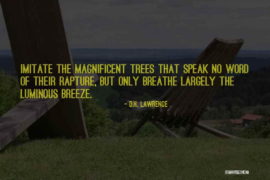 Hienas Asesinas Quotes By D.H. Lawrence Hienas Asesinas Quotes By D.H. Lawrence