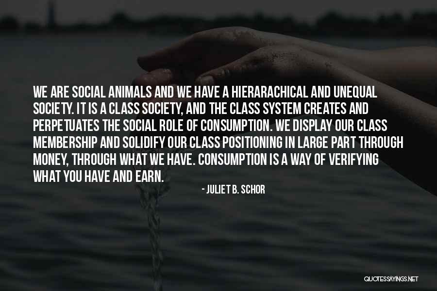 Hierarachical Quotes By Juliet B. Schor Hierarachical Quotes By Juliet B. Schor
