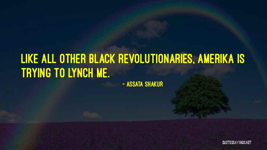 Hierarchies Memory Quotes By Assata Shakur Hierarchies Memory Quotes By Assata Shakur