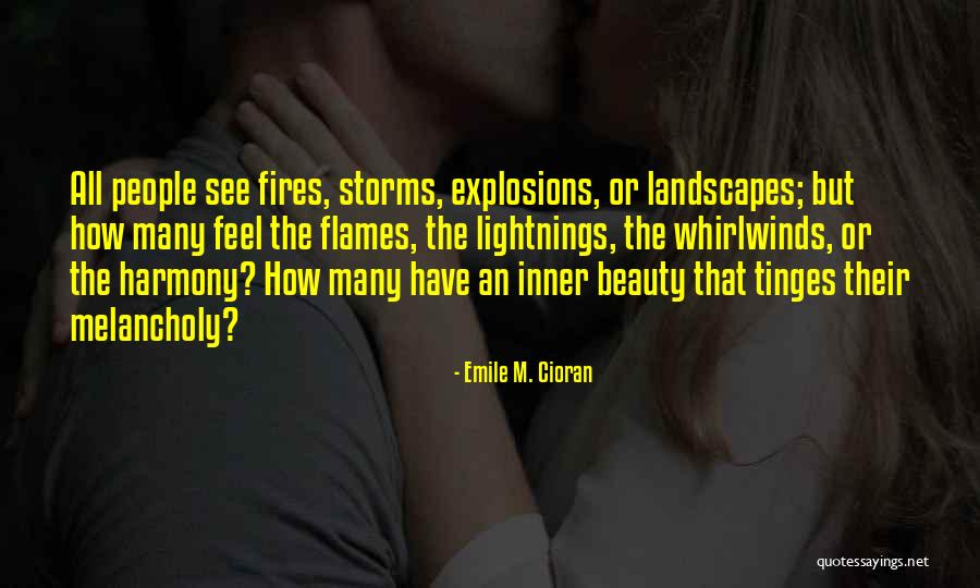 Hierarchy Of Suffering Quotes By Emile M. Cioran Hierarchy Of Suffering Quotes By Emile M. Cioran