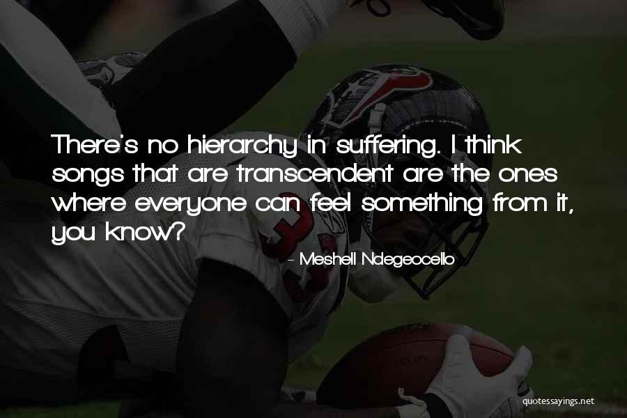 Hierarchy Of Suffering Quotes By Meshell Ndegeocello Hierarchy Of Suffering Quotes By Meshell Ndegeocello