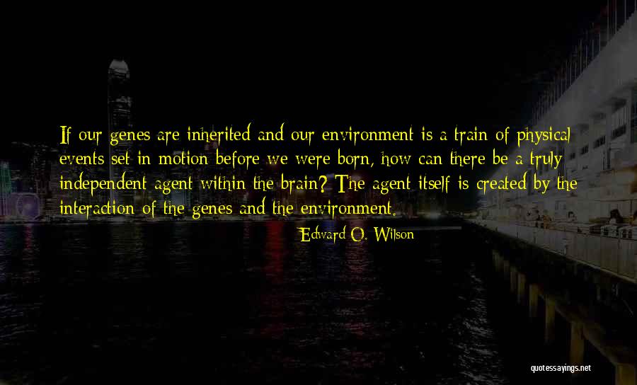 Hieratic Scale Quotes By Edward O. Wilson Hieratic Scale Quotes By Edward O. Wilson