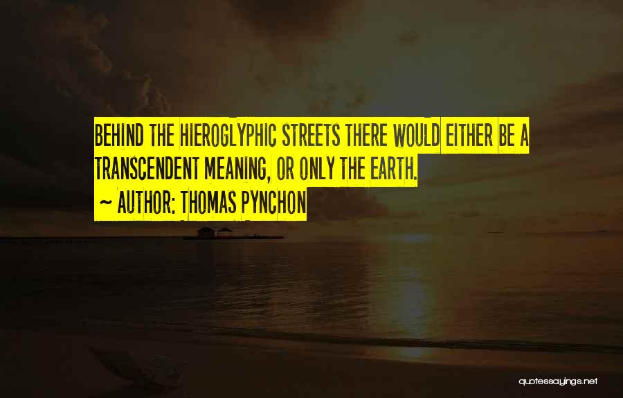 Hieroglyphic Quotes By Thomas Pynchon