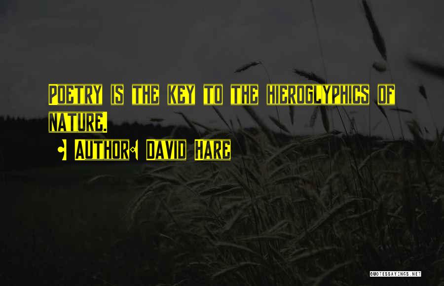 Hieroglyphics Quotes By David Hare