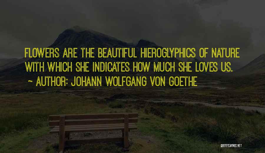 Hieroglyphics Quotes By Johann Wolfgang Von Goethe