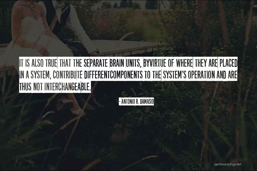 Hiestand Hall Quotes By Antonio R. Damasio Hiestand Hall Quotes By Antonio R. Damasio