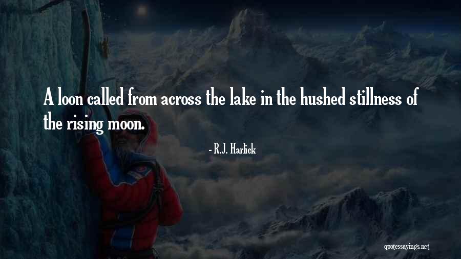 Higgitta Columbian Quotes By R.J. Harlick