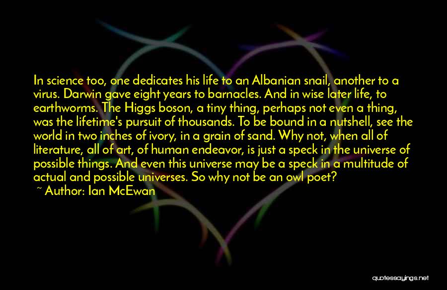 Higgs Boson Quotes By Ian McEwan