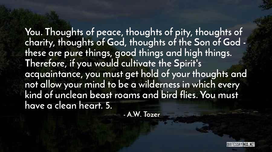 High 5 Quotes By A.W. Tozer