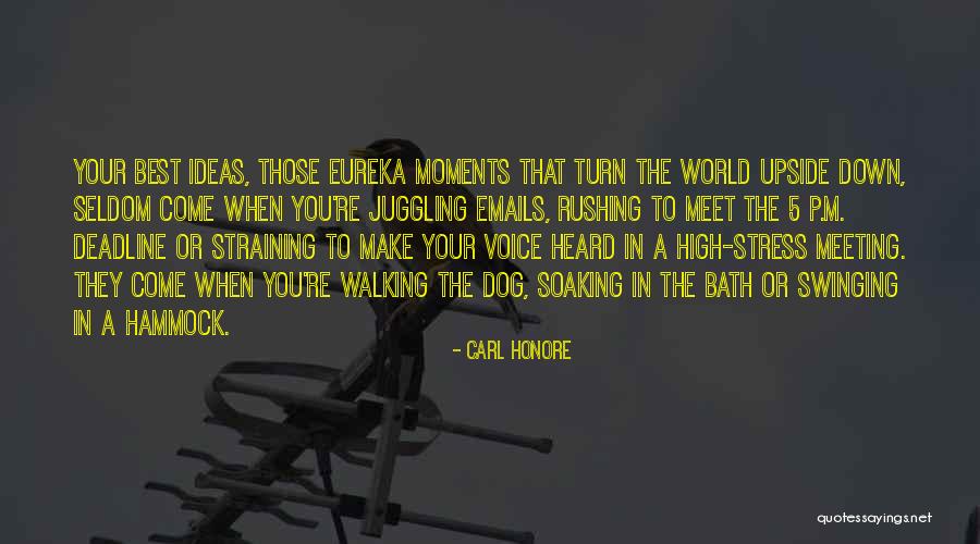 High 5 Quotes By Carl Honore