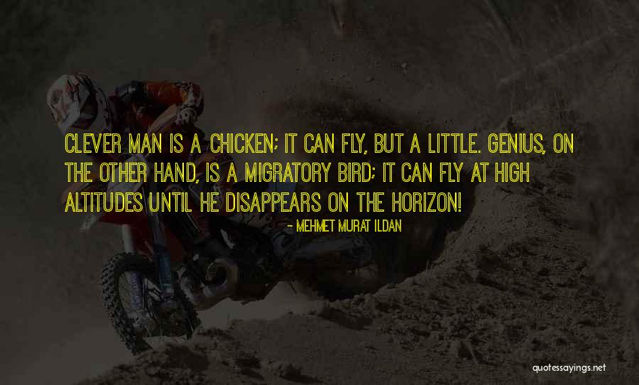 High Altitudes Quotes By Mehmet Murat Ildan
