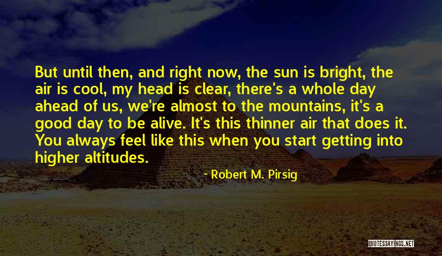 High Altitudes Quotes By Robert M. Pirsig