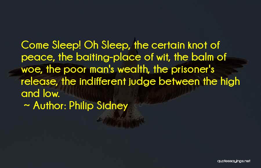 High And Low Quotes By Philip Sidney