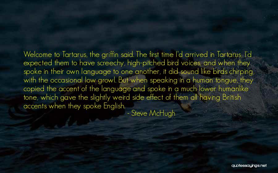 High And Low Quotes By Steve McHugh